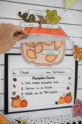 Load image into Gallery viewer, Pumpkin Facts Craft for kids