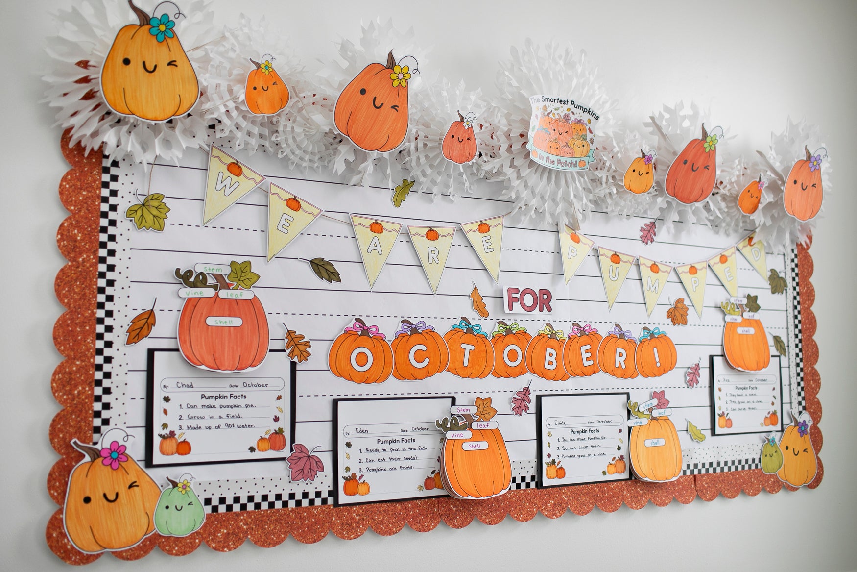 Pumpkin Facts Craft for kids and bulletin board set