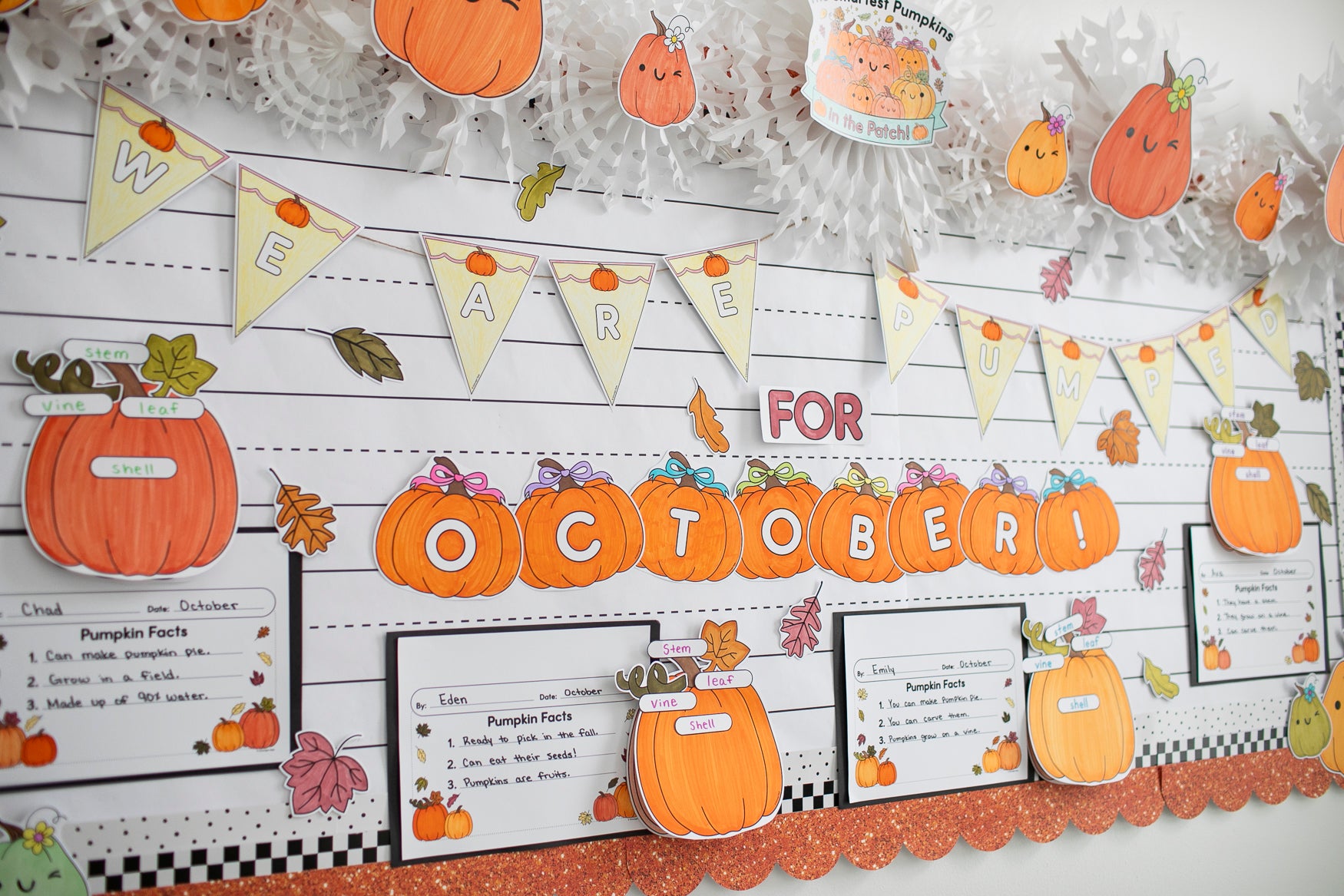 Pumpkin Facts Craft for kids and bulletin board set