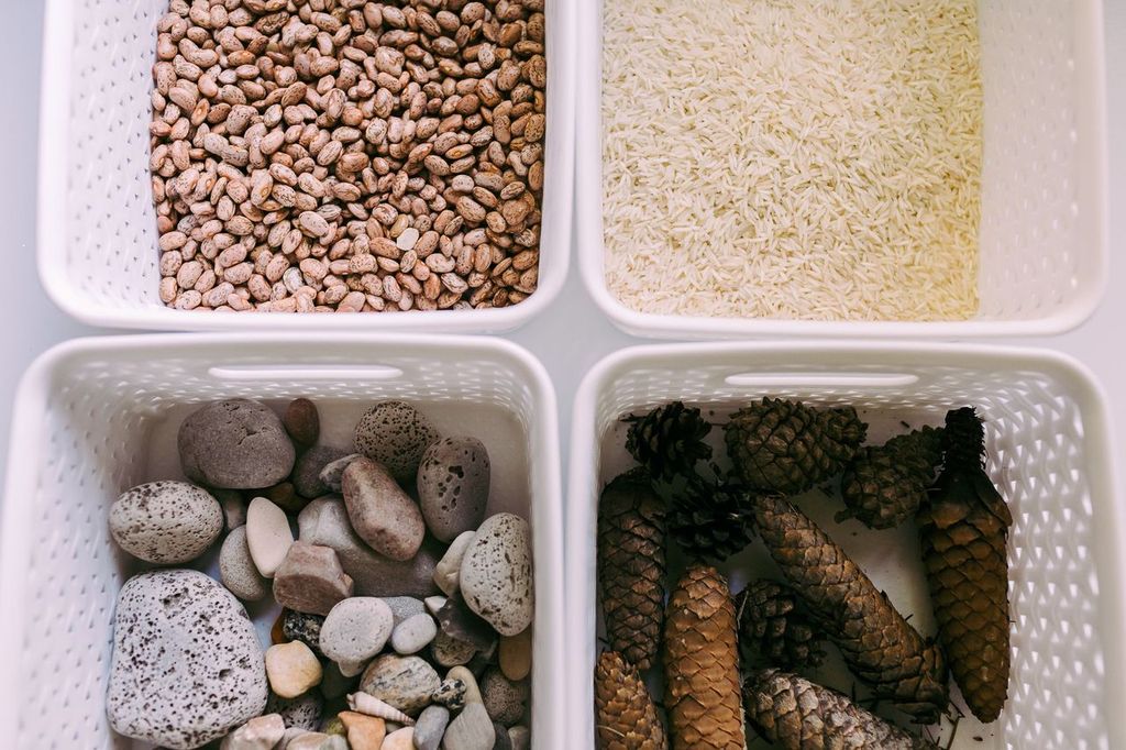 4 separate bins of dry beans, rice, rocks, and pinecones