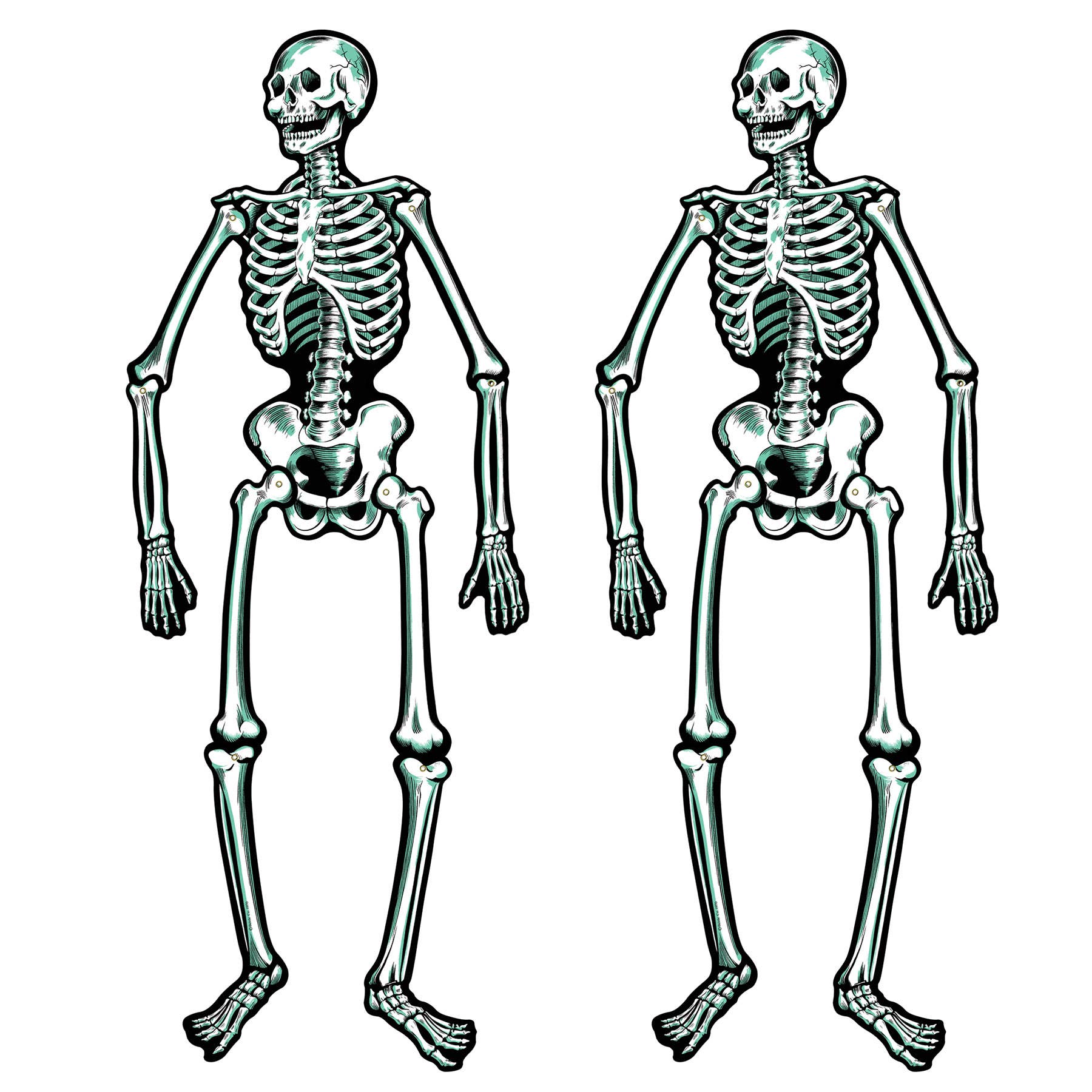 Jointed Cardstock Skeletons