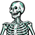 Load image into Gallery viewer, Jointed Cardstock Skeletons
