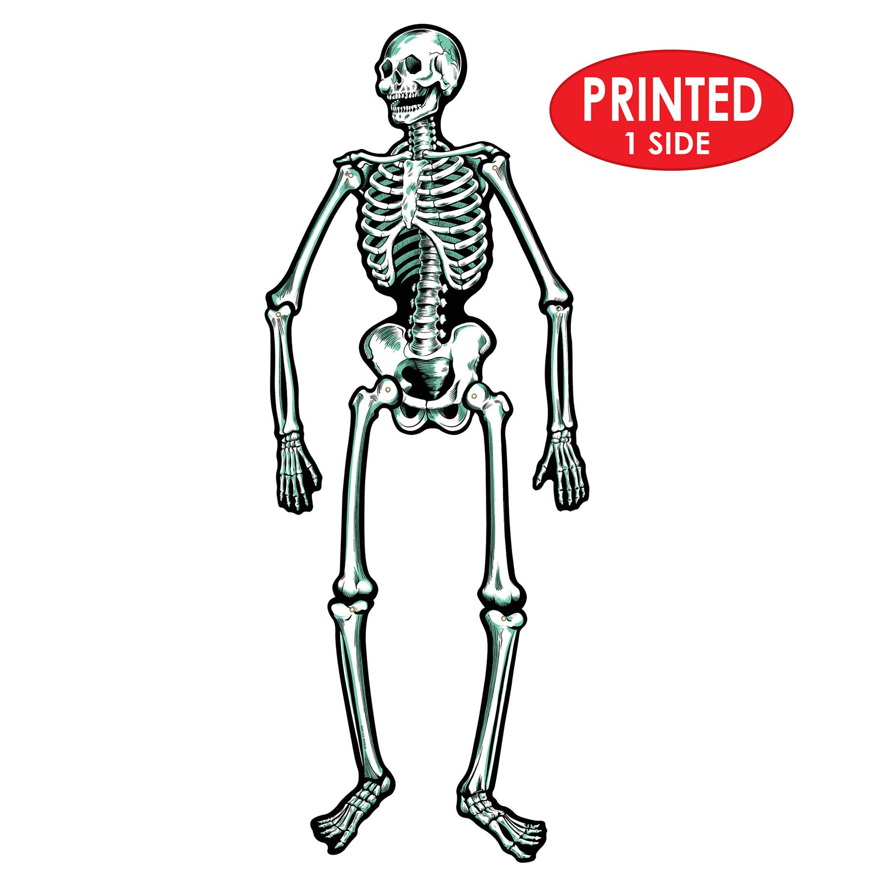 Jointed Cardstock Skeletons