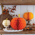 Load image into Gallery viewer, Honeycomb Pumpkins Set
