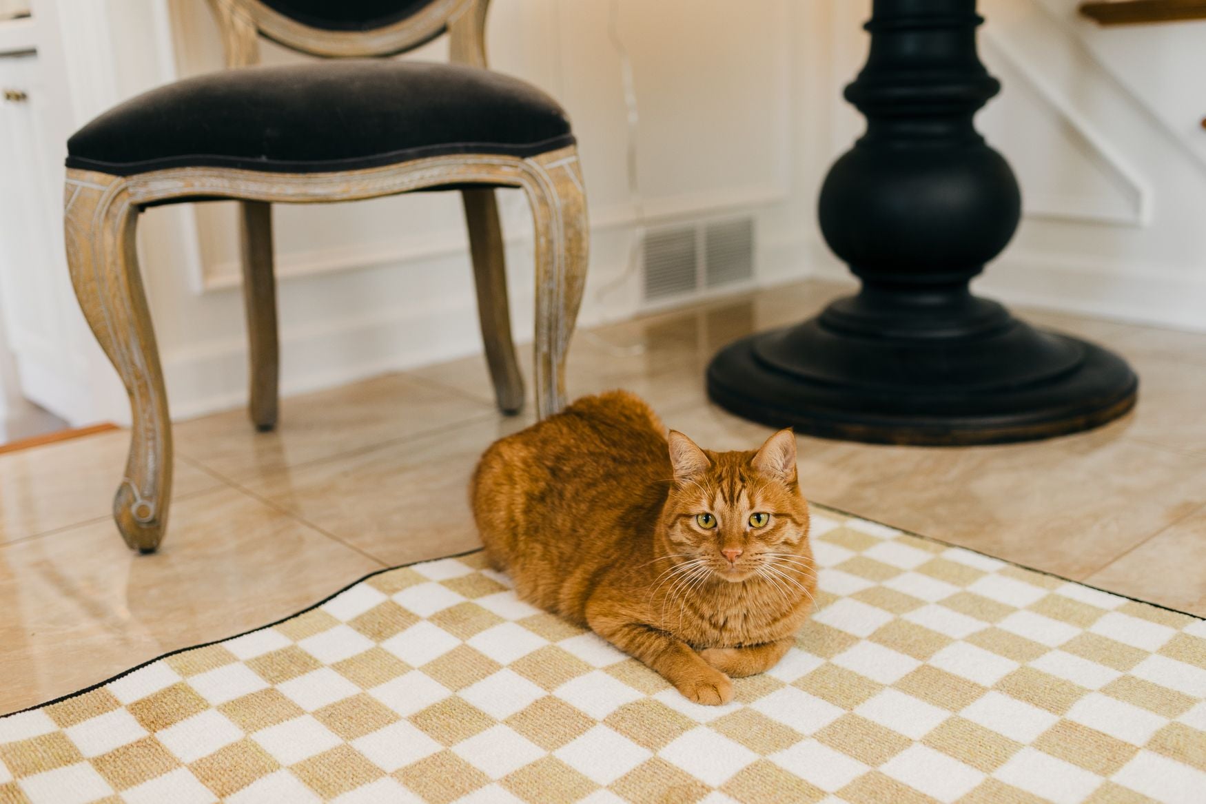 Brown and White Checkerboard  Area Rug with cat sitting on it