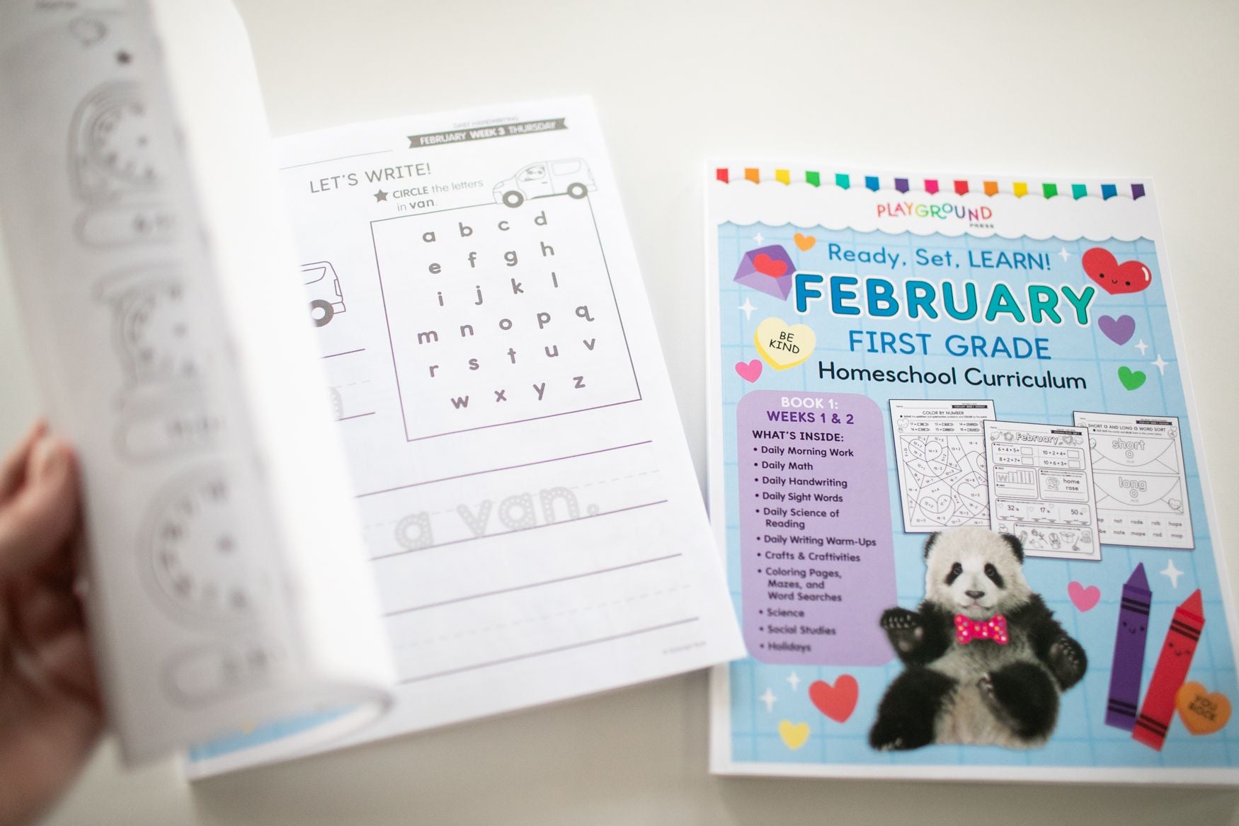 Ultimate First Grade February Homeschool Curriculum Bundle