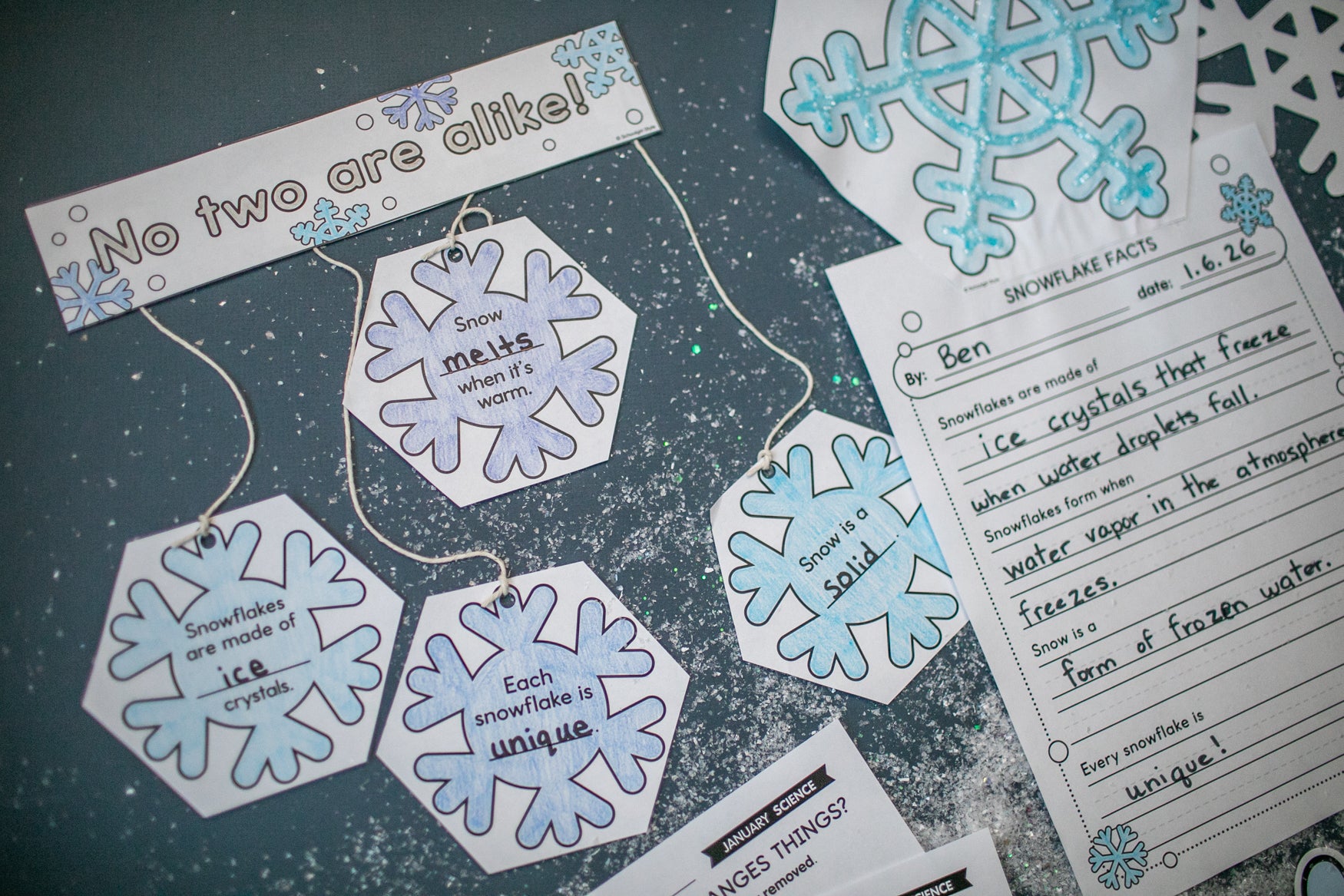 Printable January Science Worksheets, Writing Pages, and Craftivities