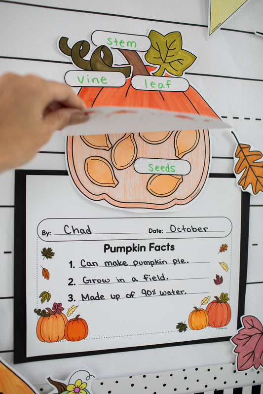 Pumpkin Facts Craft for kids