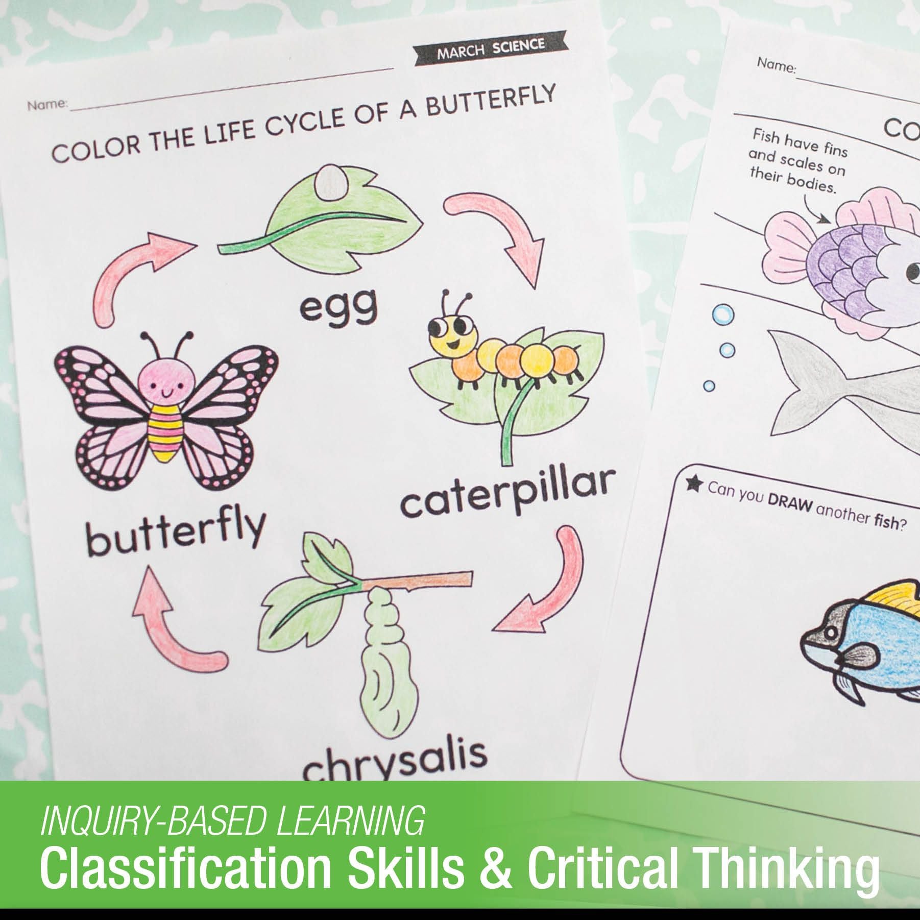 Printable March Science - Animals & Butterfly Life Cycle