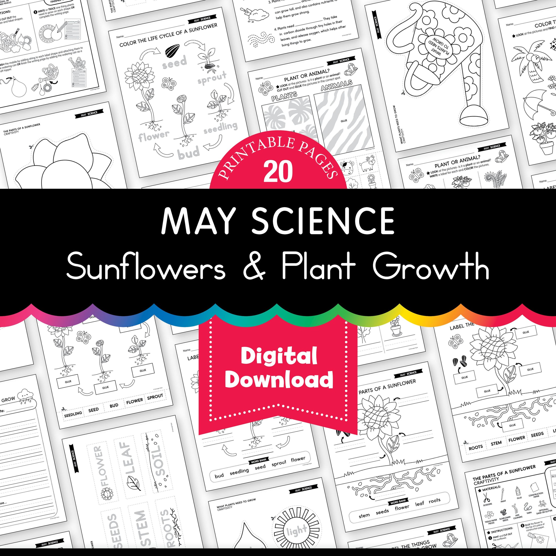 Printable May Science Activities