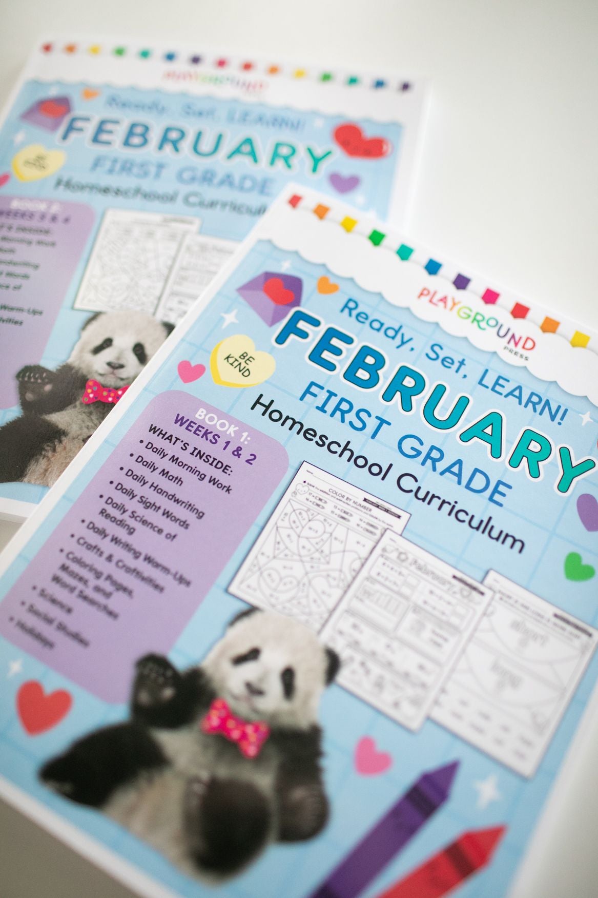 Ultimate First Grade February Homeschool Curriculum Bundle