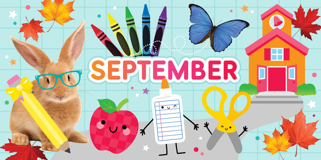 September Homeschool Curriculum - Playground Press