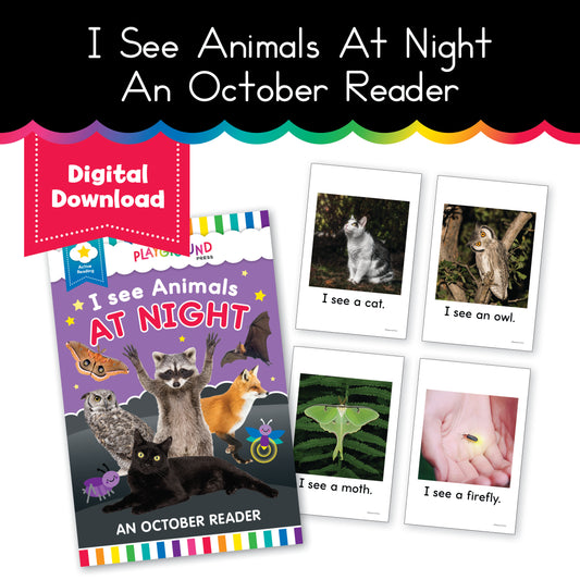 October Reader | I See Animals at Night | Yellow Reader