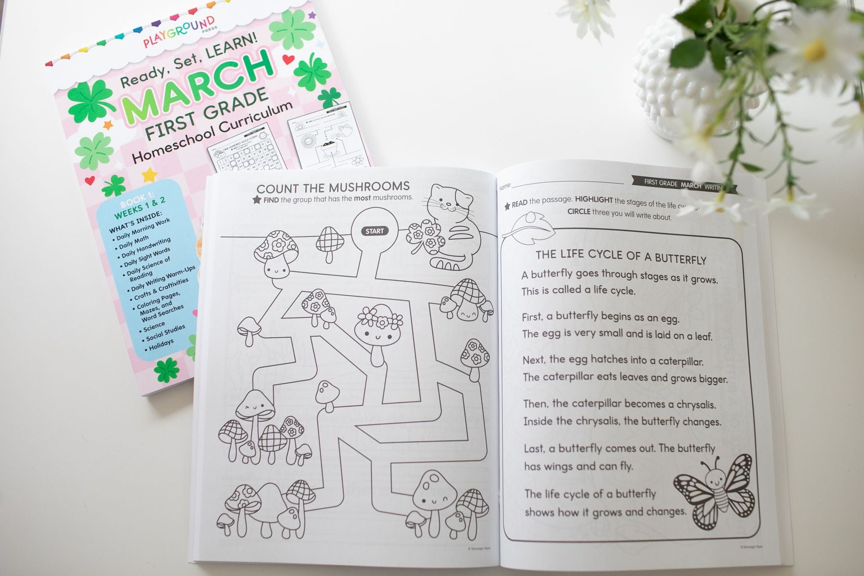 Ultimate First Grade March Homeschool Curriculum Bundle