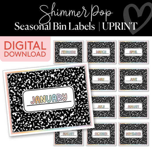 Seasonal Bins Printable Resource