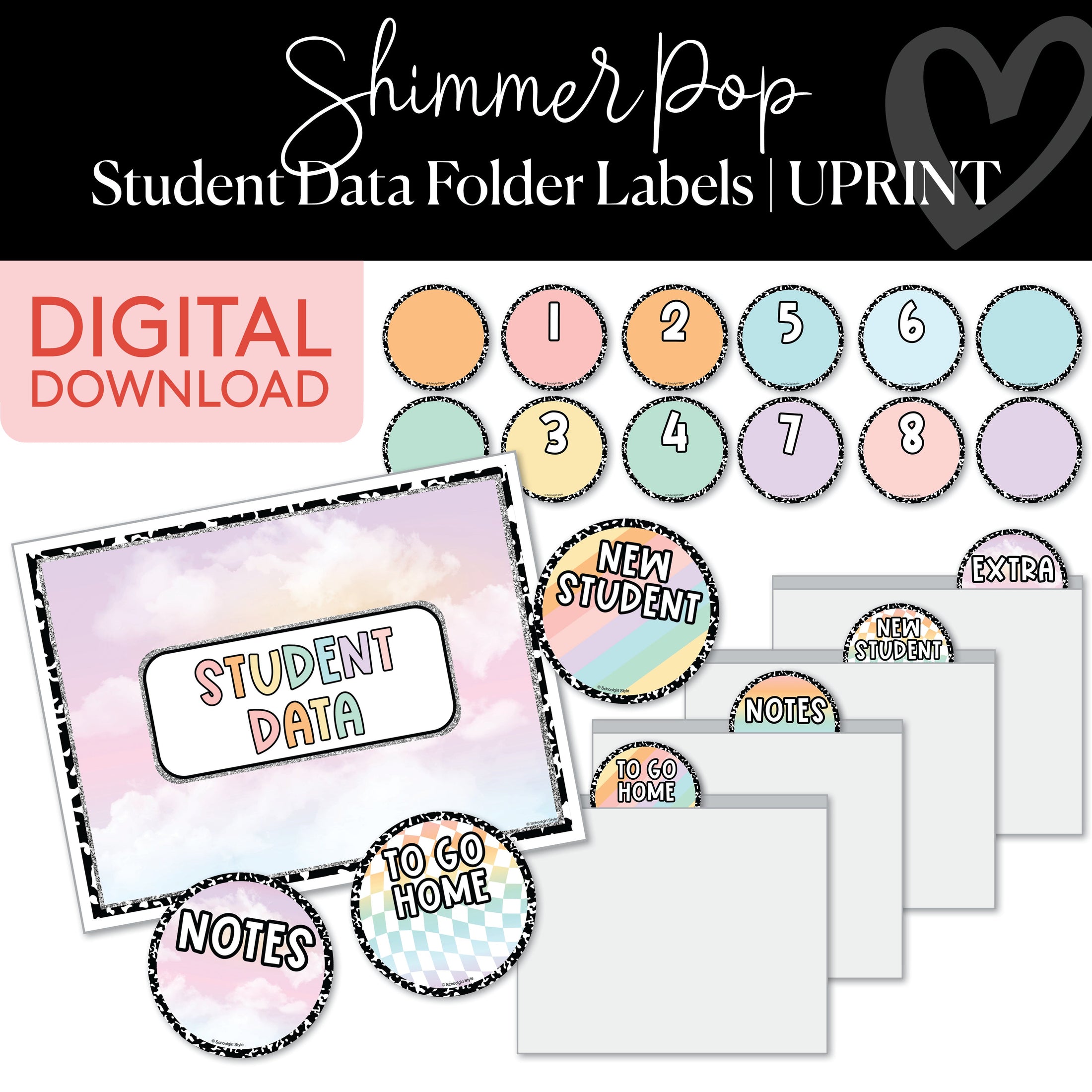 Pastel Student Data Bins Printable Resource 