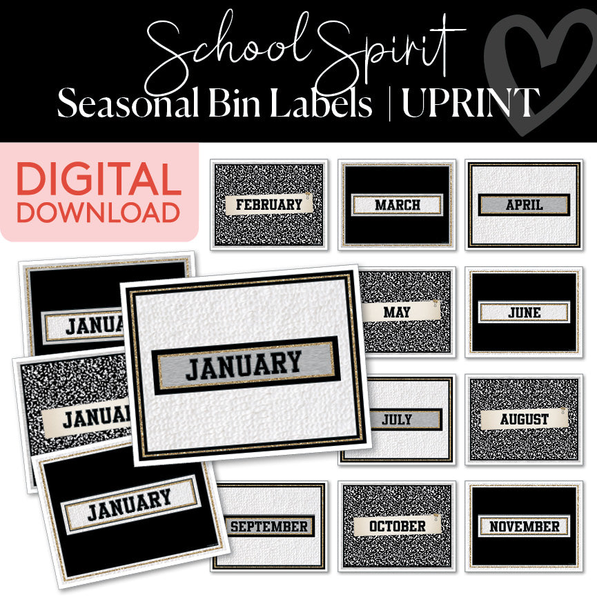 Seasonal Bins Printable Resource 