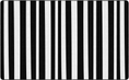 Load image into Gallery viewer, Black and White Zebra Striped Classroom Rug by Schoolgirl Style
