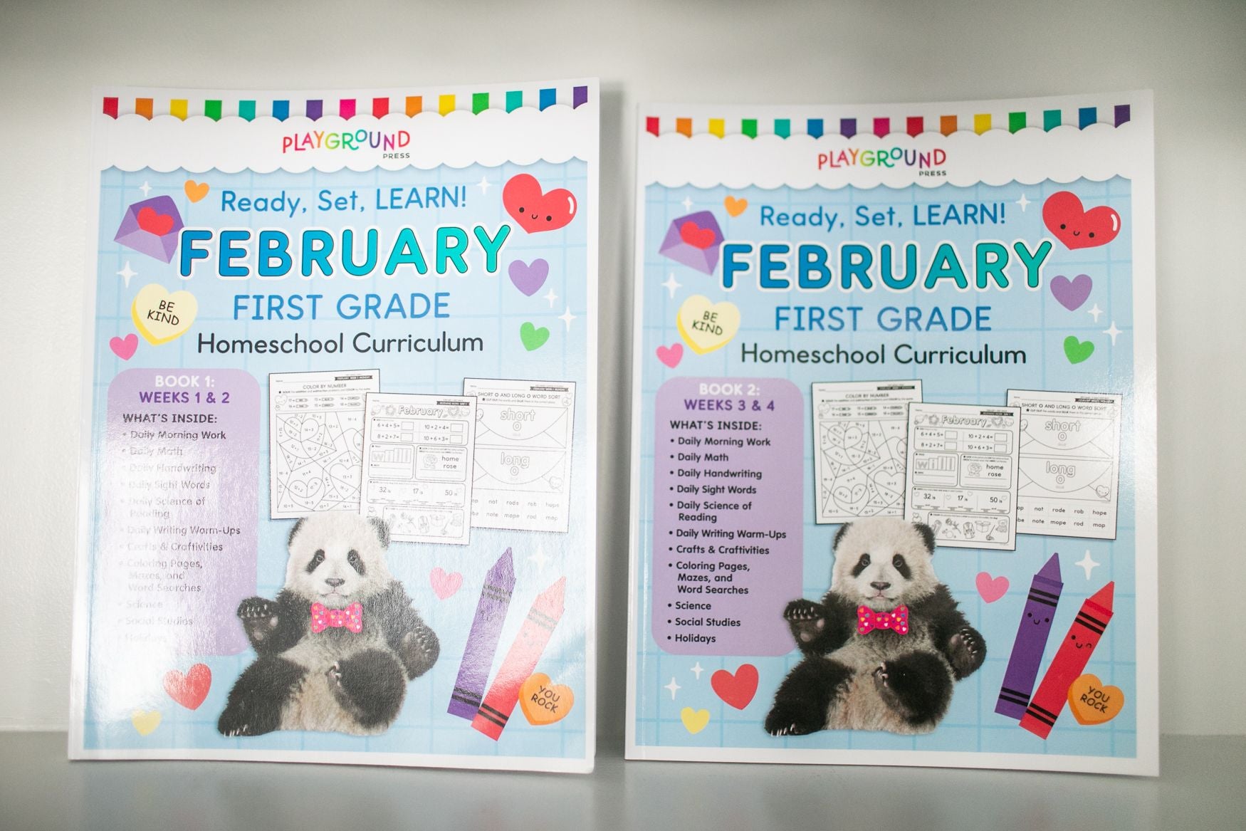 Ultimate First Grade February Homeschool Curriculum Bundle