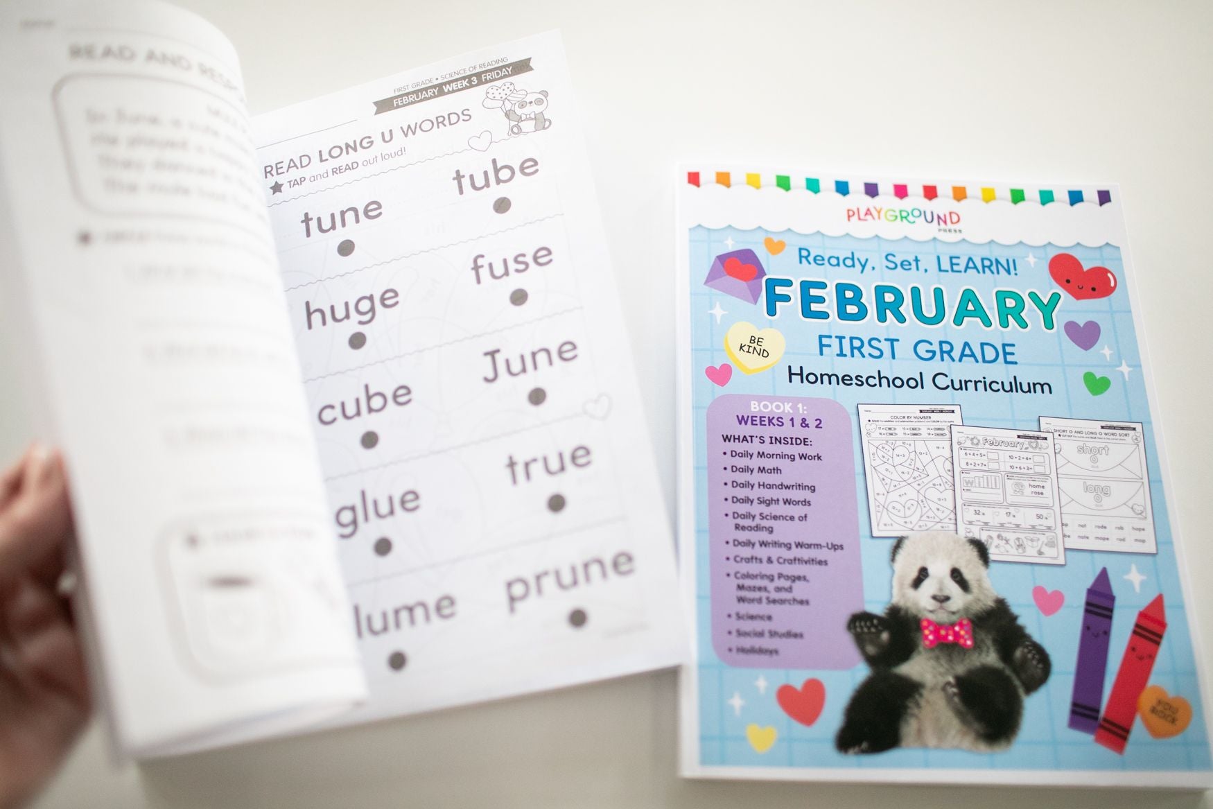 Ultimate First Grade February Homeschool Curriculum Bundle