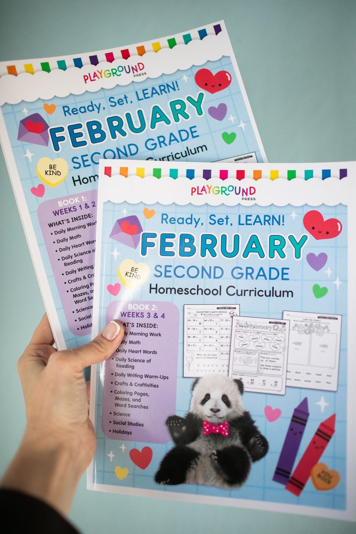 Ultimate Second Grade February Homeschool Curriculum Bundle