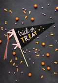 Load image into Gallery viewer, Trick-or-Treat Felt Pennant
