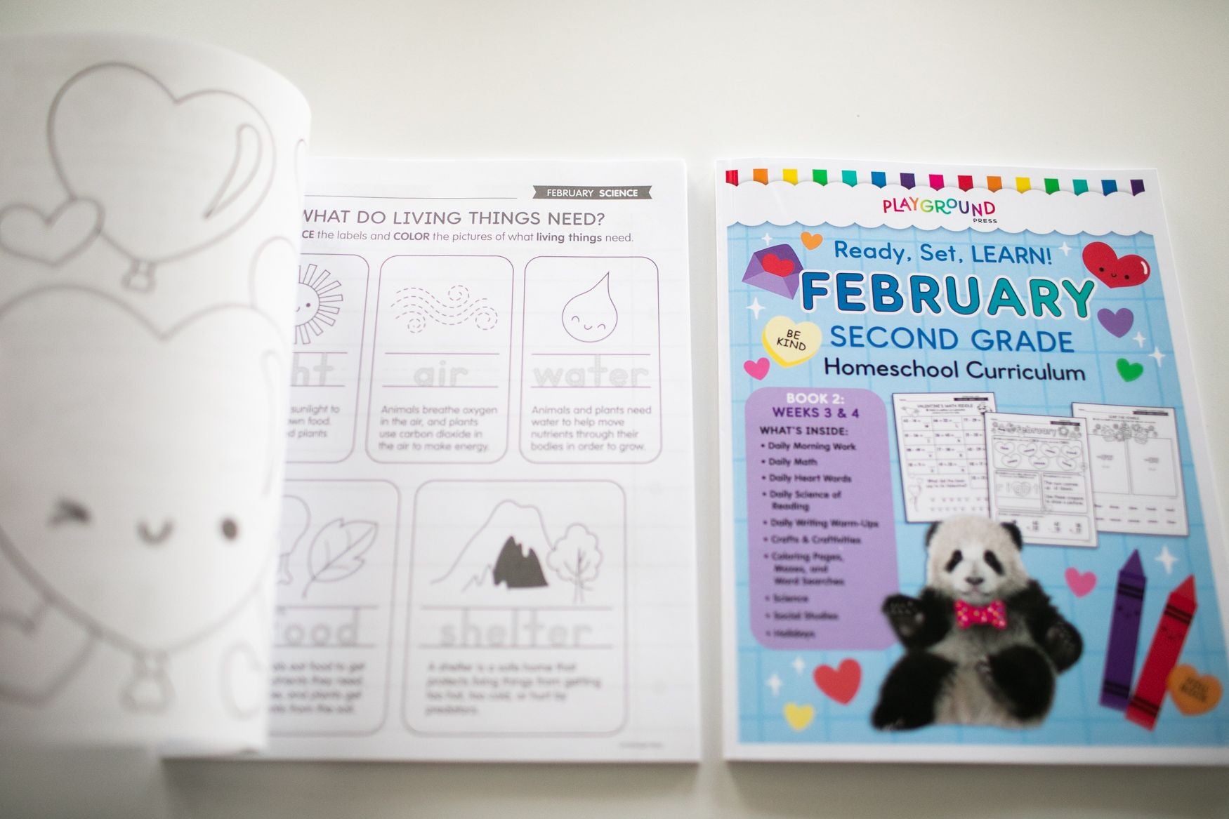 Ultimate Second Grade February Homeschool Curriculum Bundle